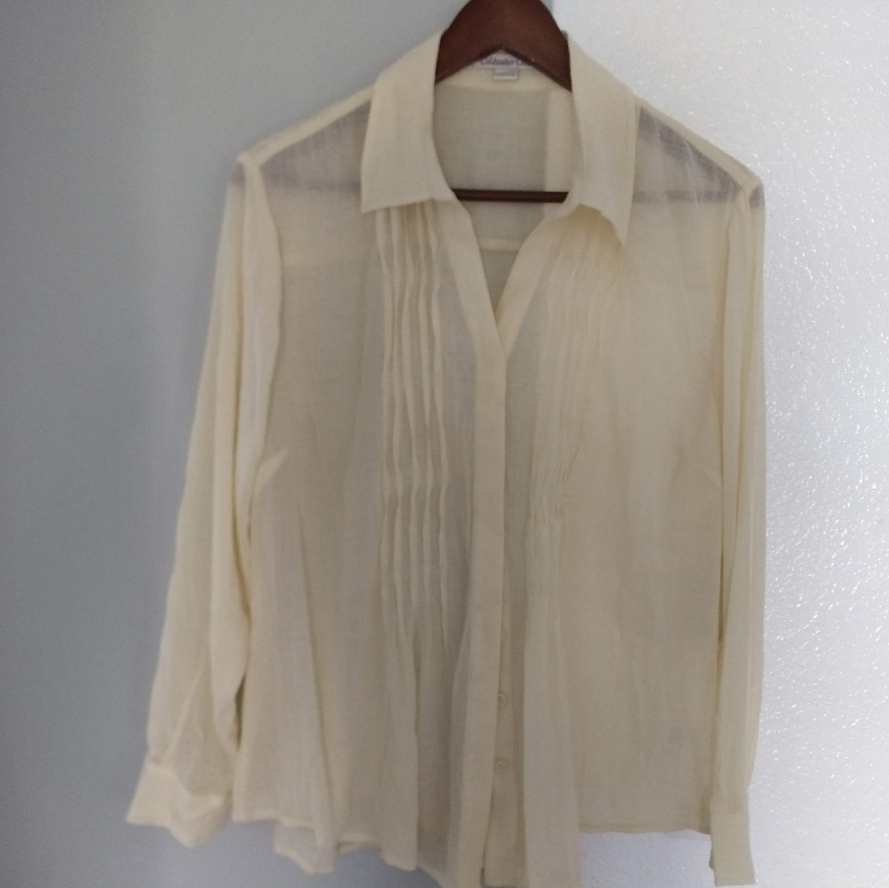 Coldwater creek PM pintuck top viscose cotton